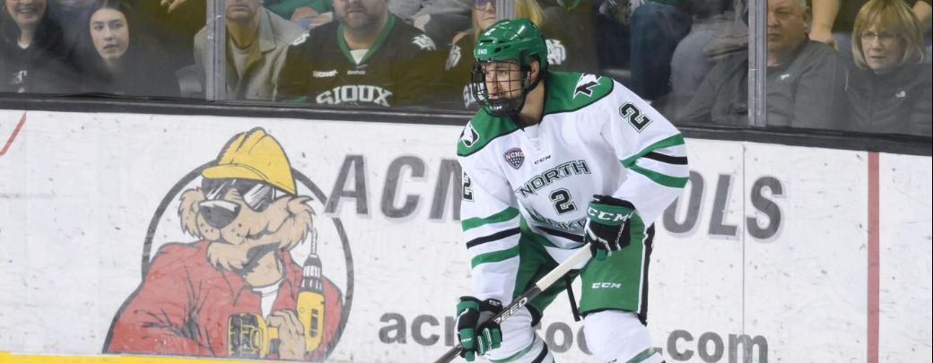 Hockey vs. Western Michigan